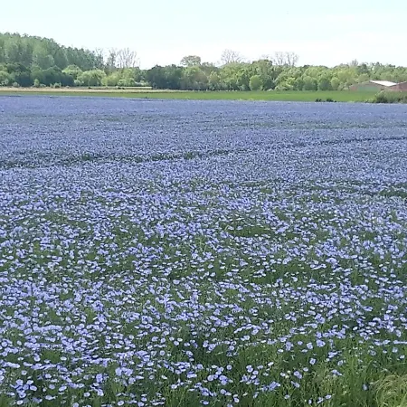 Au Coeur Du Marais 3*