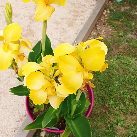 Au Coeur Du Marais Bed and breakfast