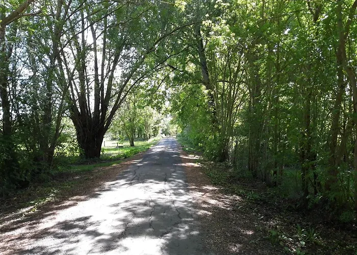 Au Coeur Du Marais Bed & Breakfast Saint-Hilaire-la-Palud