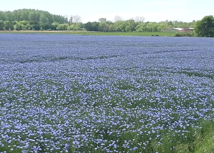 Au Coeur Du Marais 3*