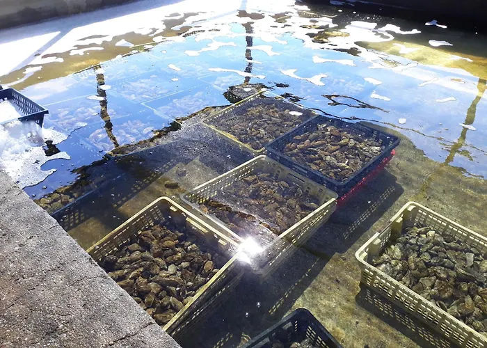 Au Coeur Du Marais Bed & Breakfast 3*