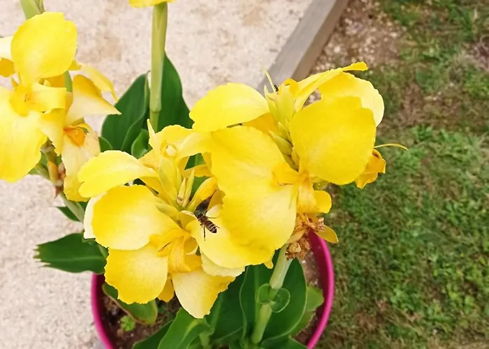 Au Coeur Du Marais Bed and breakfast