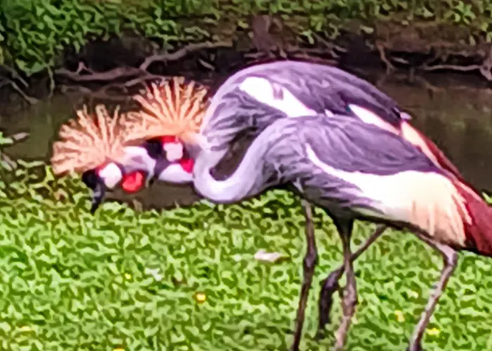 Bed and breakfast Au Coeur Du Marais Saint-Hilaire-la-Palud